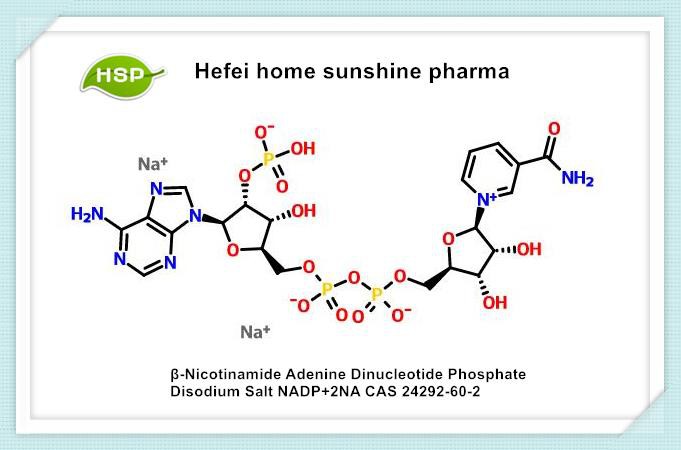 Β-Nikotinamid Adenin Dinükleotid Fosfat Disodyum Tuzu NADP+2NA CAS 24292-60-2