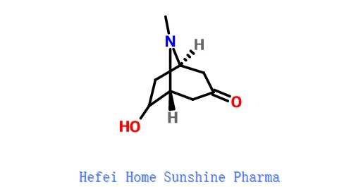 (+-)-exo-6-Hidroksitropinon CAS 5932-53-6