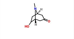 (+-)-exo-6-Hidroksitropinon CAS 5932-53-6
