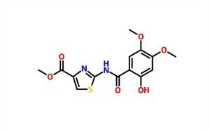 Metil 2-(2-hidroksi-4,5-diMetoksibenzaMido)tiyazol-4-karboksilat CAS 877997-99-4