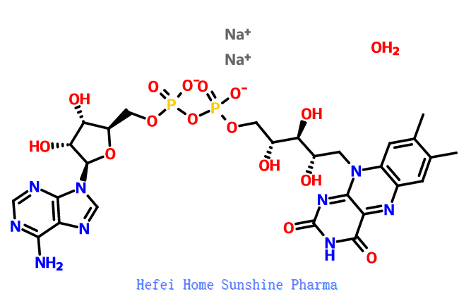Flavin Adenin Dinükleotid Disodyum Tuz Hidrat CAS 84366-81-4